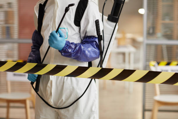 Professional Sewage Cleanup technician working in Mendota, CA